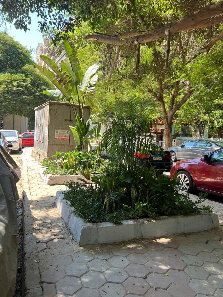 Beautification Initiative image