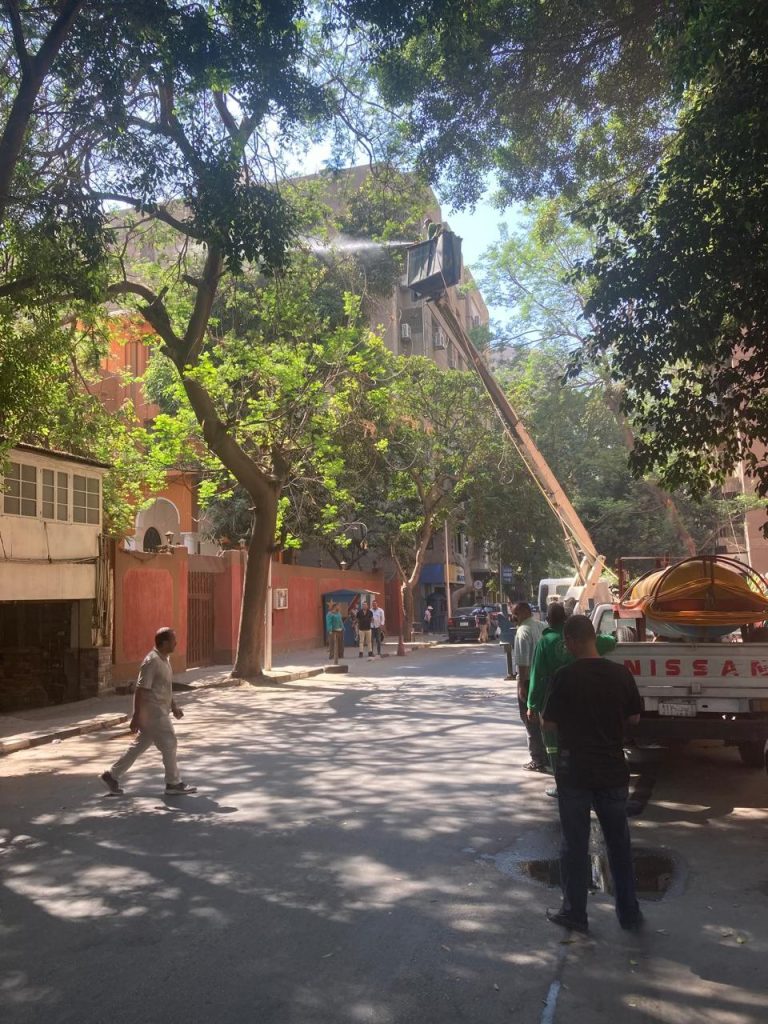 Tree Spraying Initiative image