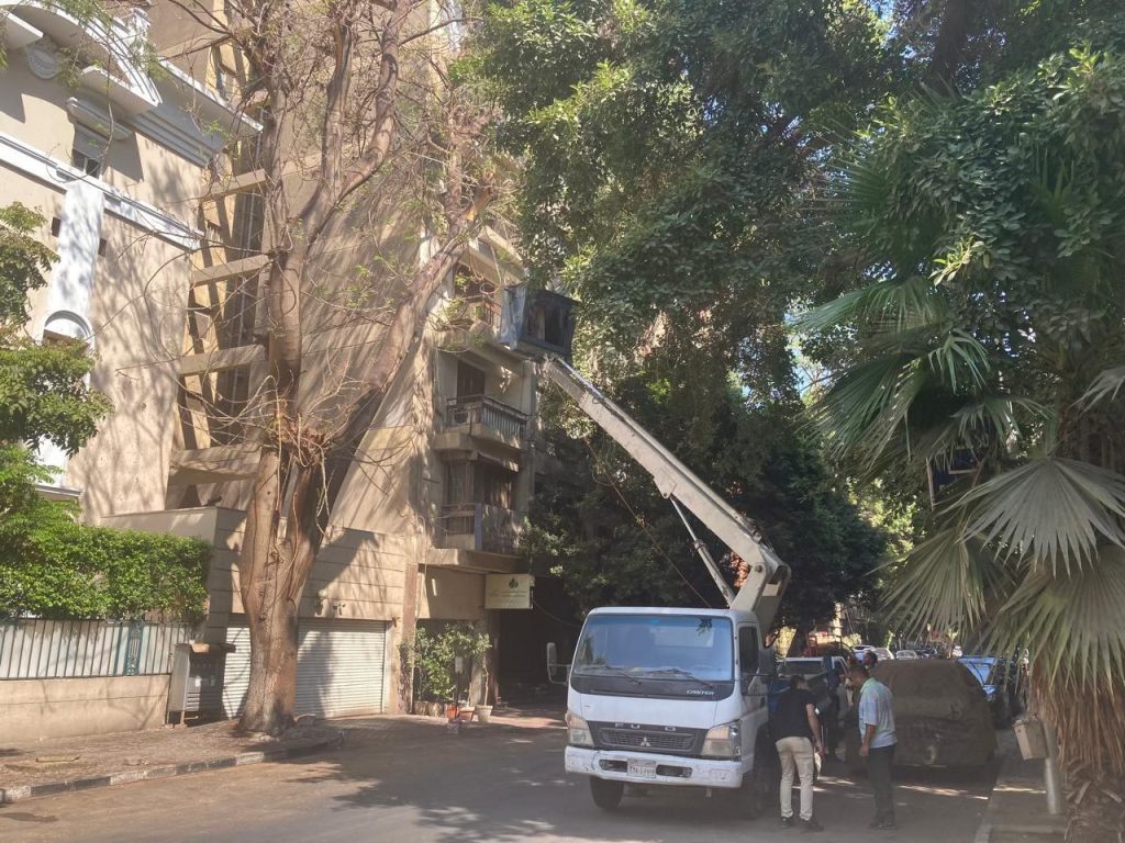 Tree Spraying Initiative image